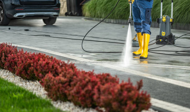 Roof Power Washing Services in Loch Lomond, VA